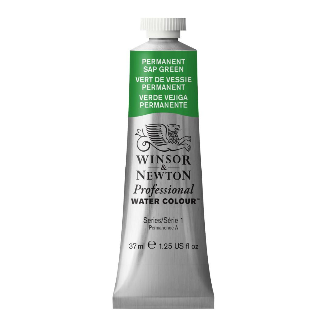 Winsor & Newton Professional Water Colour - Tube of 37 ML - Permanent Sap Green (503)