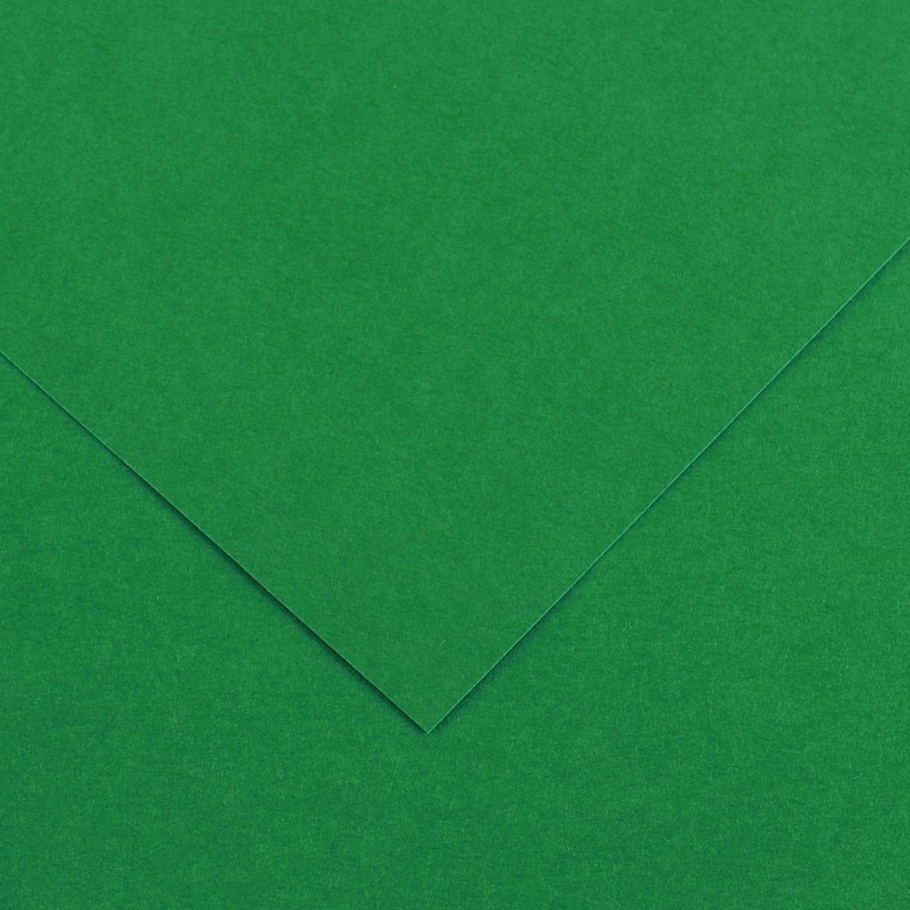 Canson Colorline Coloured Paper 50 cm x 65 cm or 19.68'' x 25.59'' Moss Green - Textured + Smooth 300 GSM - Pack of 10 Sheets