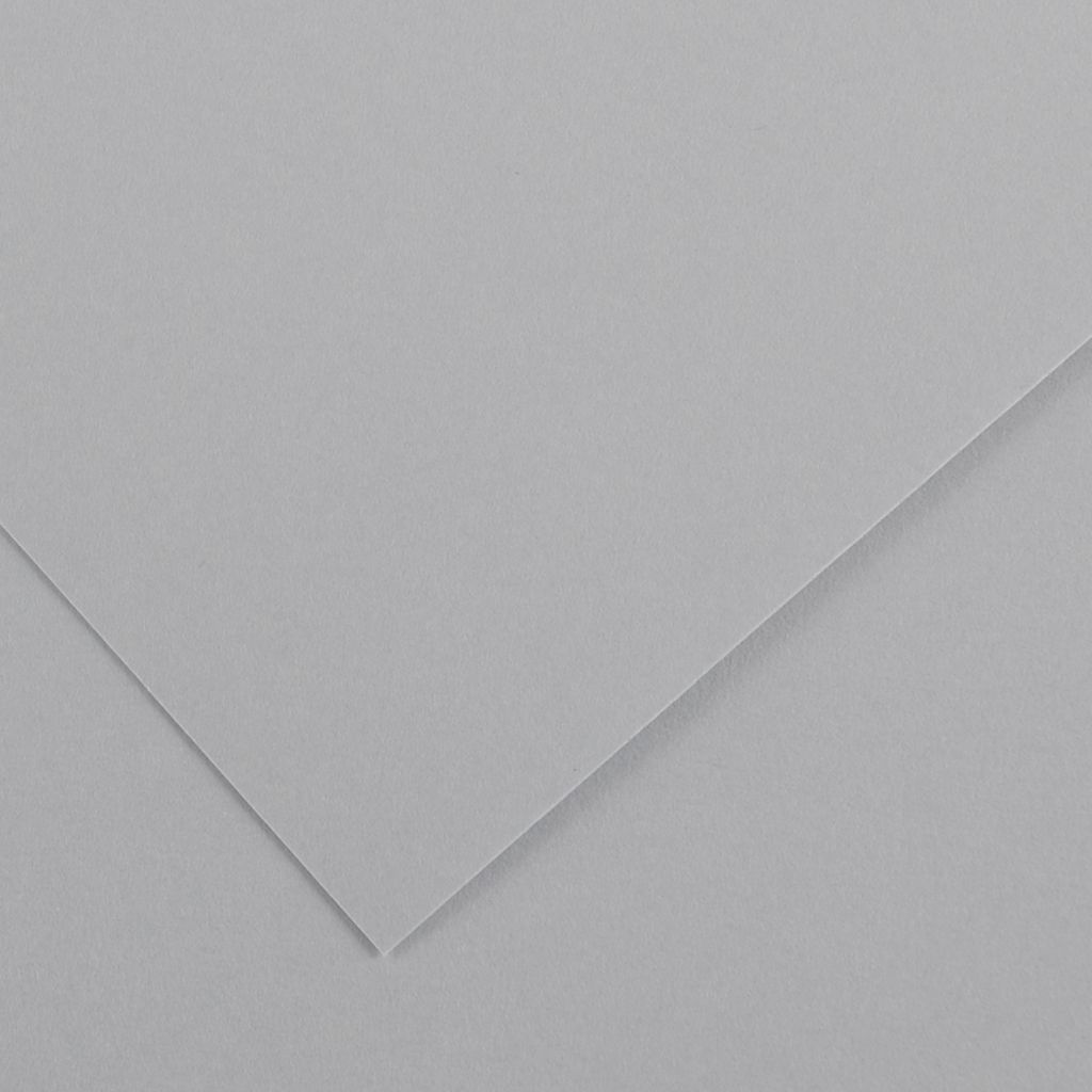 Canson Colorline Coloured Paper 50 cm x 65 cm or 19.68'' x 25.59'' Light Grey - Textured + Smooth 300 GSM - Pack of 10 Sheets