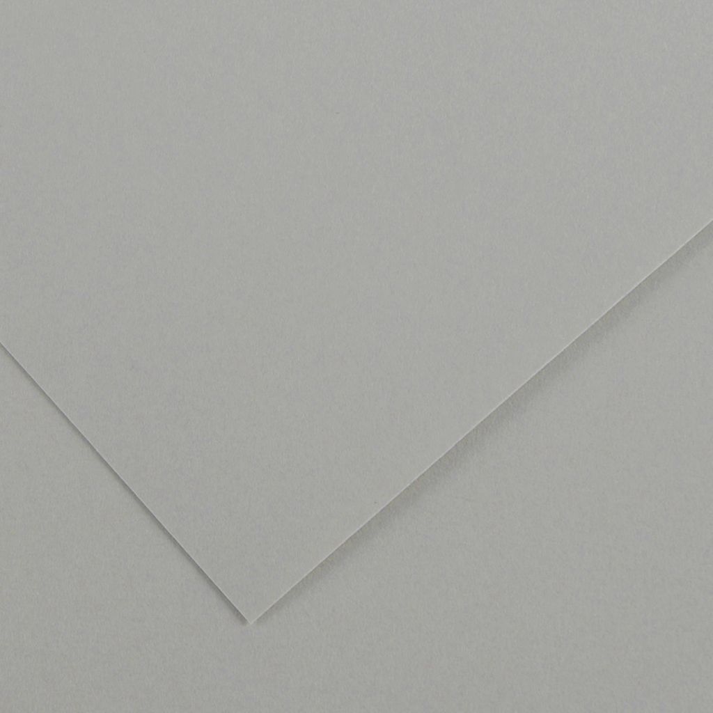 Canson Colorline Coloured Paper 50 cm x 65 cm or 19.68'' x 25.59'' Pebble Grey - Textured + Smooth 300 GSM - Pack of 10 Sheets