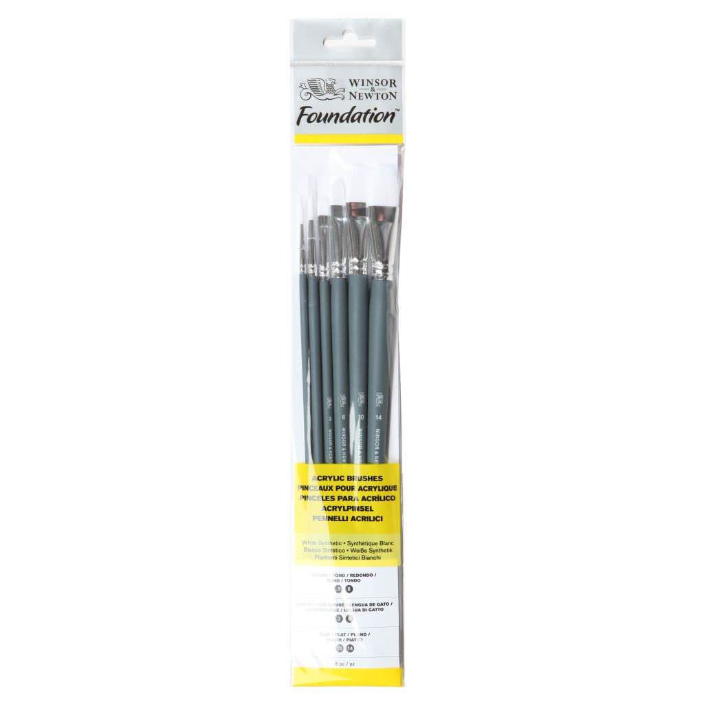 Winsor & Newton Foundation Brush Set of 6 - White Synthetic - Round (3,6), Filbert (3,6), Flat (10,14) - Long Handle