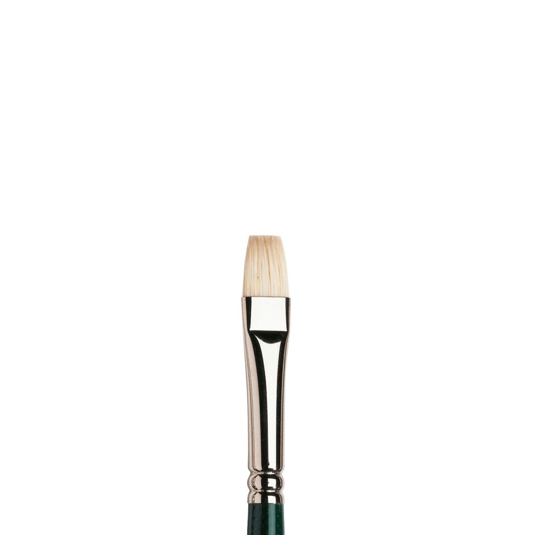 Winsor & Newton Winton Hog Bristle Brush - Flat - Short Handle - Size - 6