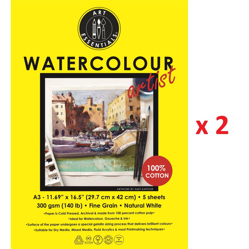 Art Essentials Watercolour Artist A3 (29.7 cm x 42 cm) Natural White Fine Grain / Cold Press 300 GSM 100% Cotton Paper, Polypack of 10 Sheets