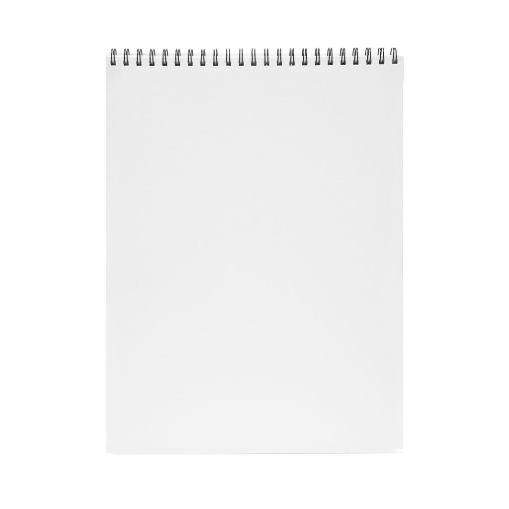 Scholar Artists' Pad Novice - A3 (29.7 cm x 42 cm or 11.7 in x 16.5 in) Natural White Smooth 130 GSM, Spiral Pad of 25 Sheets