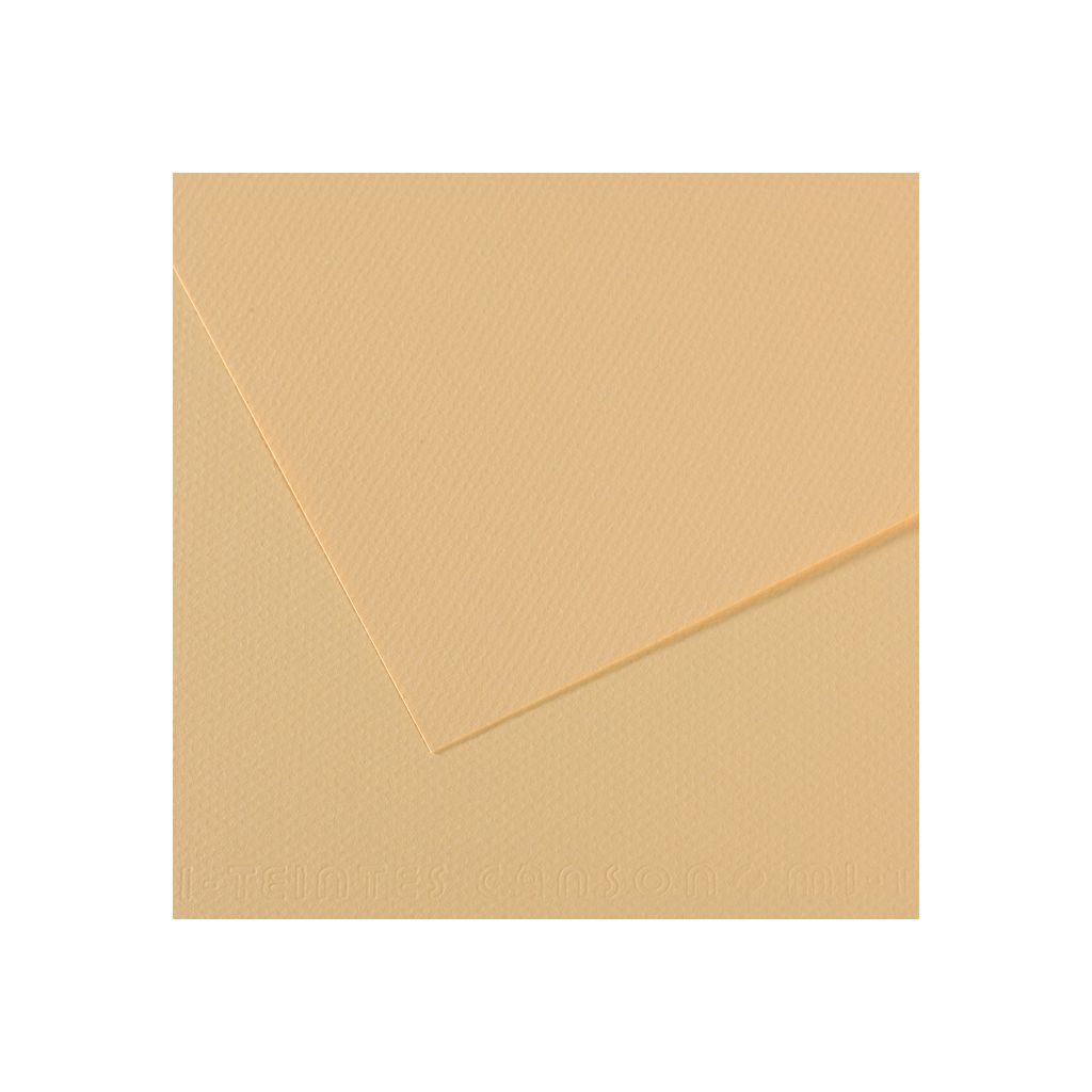 Canson Mi-Teintes Pastel Paper - A4 - Cream (407) - Honeycomb + Fine Grain 160 GSM - Pack of 10 Sheets