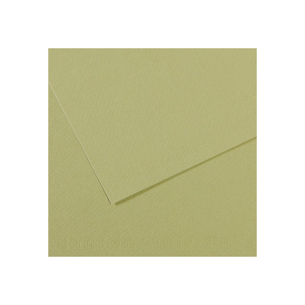 Canson Mi-Teintes Pastel Paper - 50 cm x 65 cm or 19.68'' x 25.59'' - Light Green (480) - Honeycomb + Fine Grain 160 GSM - Pack of 25 Sheets