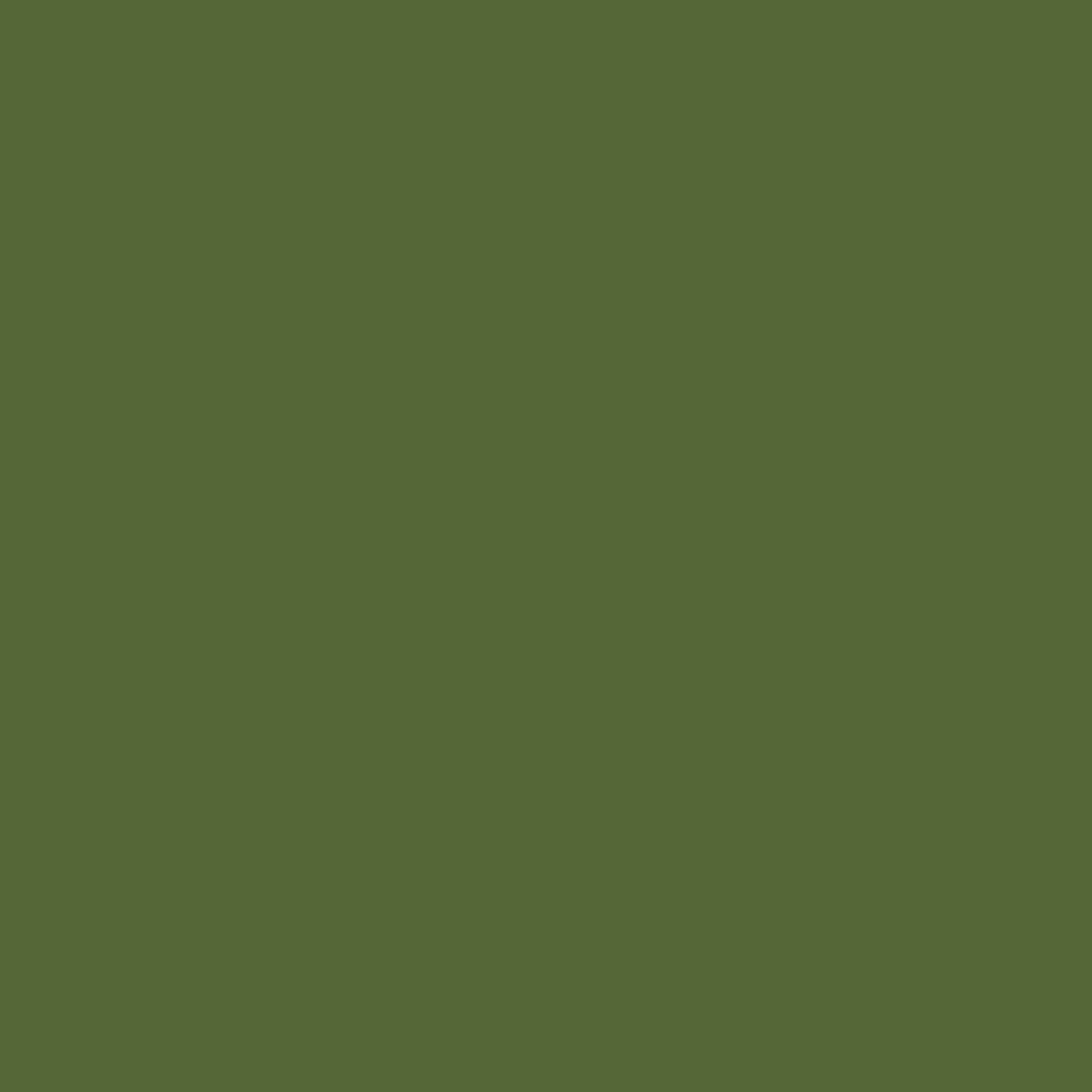 Conte a' Paris Colour Carres Crayons - Chromium Oxide Green (075)