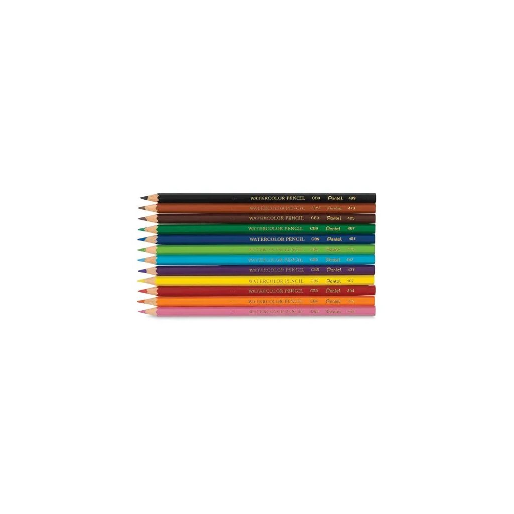 Pentel Arts Watercolour Pencil Set - 12 Assorted Colours