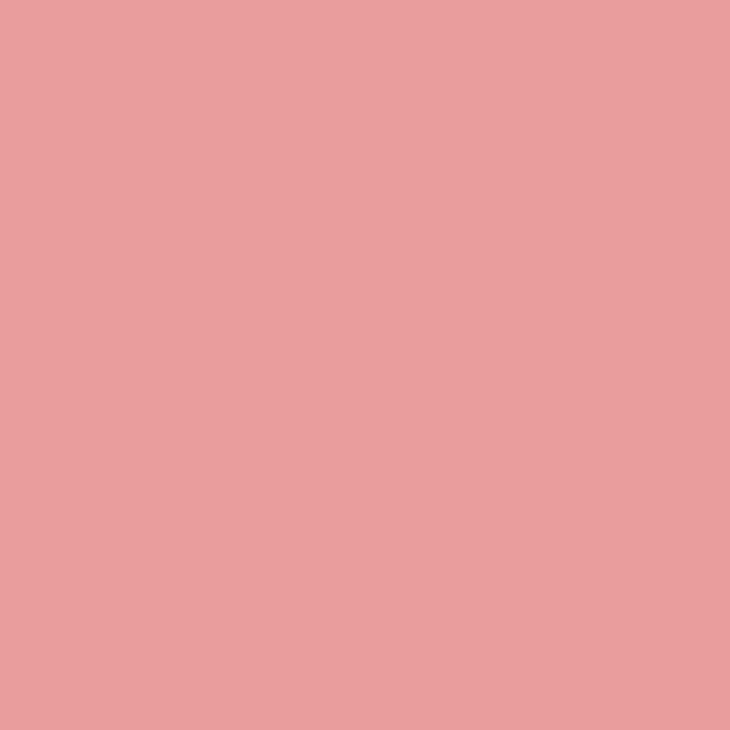 DecoArt Americana Matte Acrylic Paint - 59 ML (2 Oz) Bottle - Blush Pink (355)