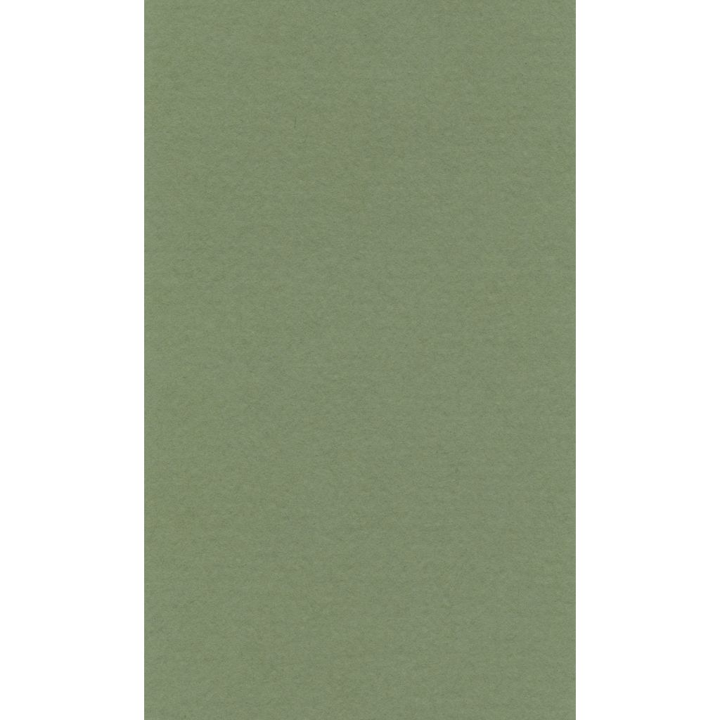 Lana Colour Pastel Paper 45% Cotton - A4 (21 cm x 29.7cm or 8.3'' x 11.7'') Sap Green - Textured + Smooth 160 GSM - Pack of 10 Sheets