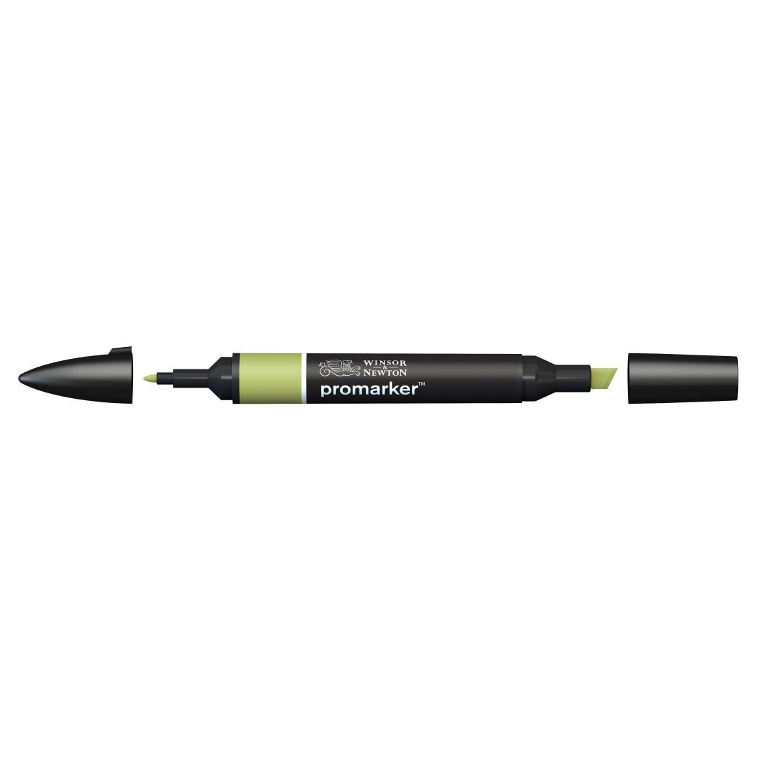 Winsor & Newton Promarker - Alcohol Based - Twin Tip Marker - Marsh Green (G136)