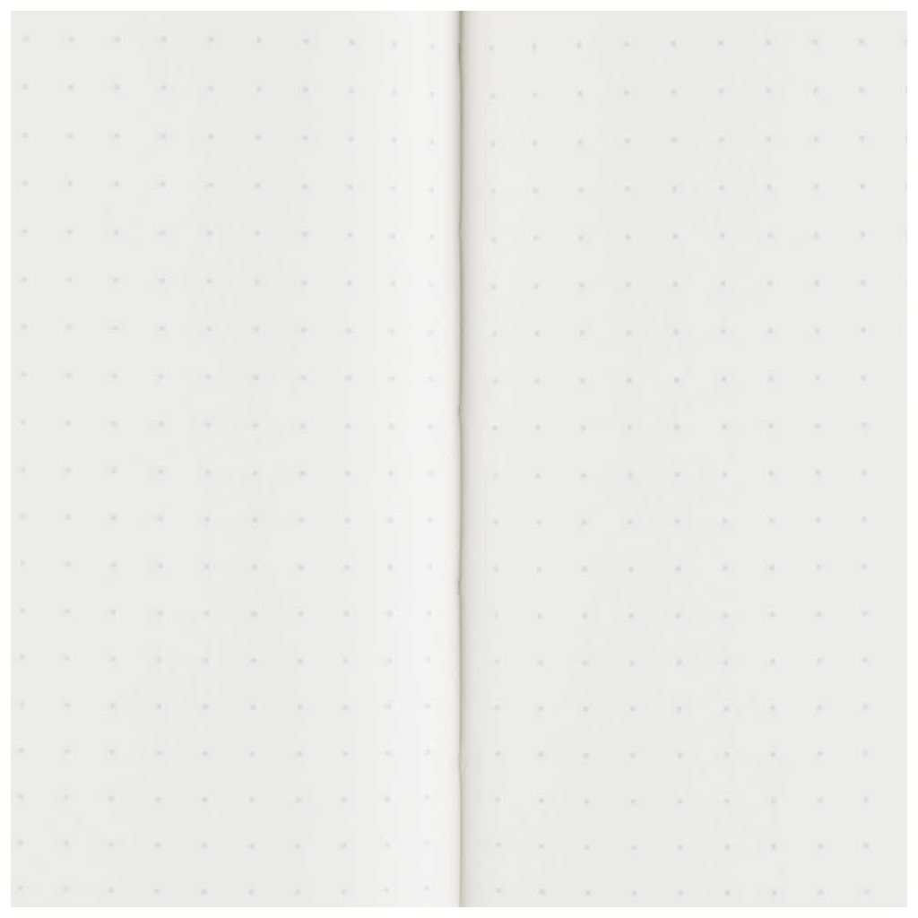 Tomoe River Fountain Pen Paper - Hardcover - Dot Grid Notebook - A5 (210 mm x 148 mm or 8.3