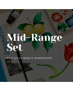 Divya Babu Workshops - Mid-Range Set