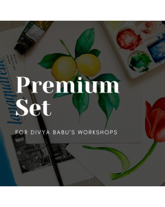 Divya Babu Workshops - Premium Set