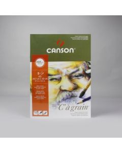 Canson C a' Grain Heavyweight Drawing Paper - Fine Grain 224 GSM A3 Poly Pack - 5 Sheets