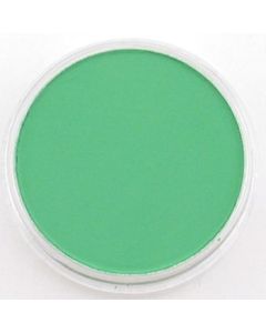 PanPastel Colors Ultra Soft Artist's Painting Pastel, Permanent Green (640.5)