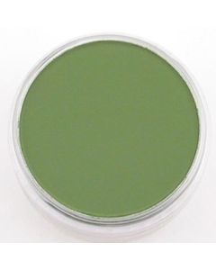 PanPastel Colors Ultra Soft Artist's Painting Pastel, Chromium Oxide Green (660.5)