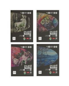 Anupam Pupil Watercolour Black Toned Paper A4 250 GSM Cold Press, Polypack of 10 Sheets