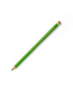 Koh-I-Noor Polycolor Artist's Coloured Pencil - Spring Green (23)