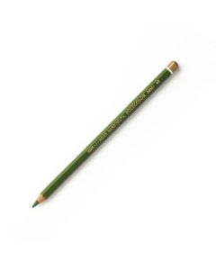 Koh-I-Noor Polycolor Artist's Coloured Pencil - Meadow Green (25)