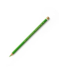 Koh-I-Noor Polycolor Artist's Coloured Pencil - Light Green (58)