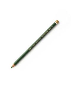 Koh-I-Noor Polycolor Artist's Coloured Pencil - Sap Green (61)