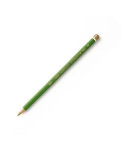 Koh-I-Noor Polycolor Artist's Coloured Pencil - Apple Green (62)