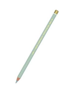 Koh-I-Noor Polycolor Artist's Coloured Pencil - Light Grey (69)