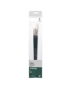 Winsor & Newton Winton Hog Bristle Brush - Assorted Set - Long Handle - Pack of 3 - SET 2