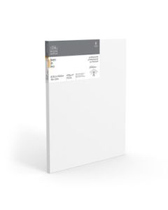 Winsor & Newton Professional White Primed Stretched Linen Canvas - Fine Grain - 430 GSM / 15.2 Oz - 40.6 x 50.8 cm OR 16" x 20"