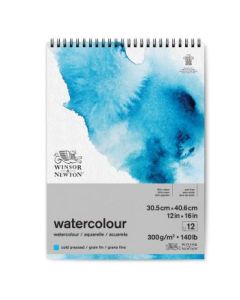 Winsor & Newton Watercolour Paper - Cold Press 300 GSM - 30.5 cm x 40.6 cm or 12'' x 16'' Natural White Short Side Spiral Album of 12 Sheets