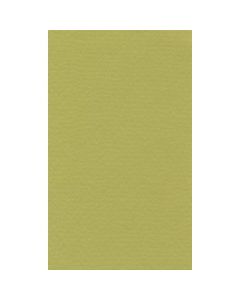 Lana Colour Pastel Paper 45% Cotton - A4 (21 cm x 29.7cm or 8.3'' x 11.7'') Pistachio - Textured + Smooth 160 GSM - Pack of 10 Sheets