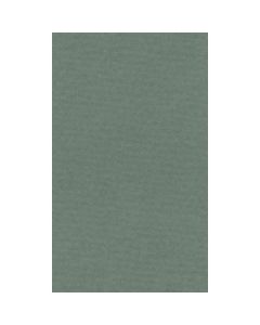 Lana Colour Pastel Paper 45% Cotton - A4 (21 cm x 29.7cm or 8.3'' x 11.7'') Sage - Textured + Smooth 160 GSM - Pack of 10 Sheets