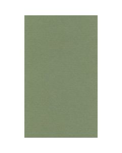 Lana Colour Pastel Paper 45% Cotton - A4 (21 cm x 29.7cm or 8.3'' x 11.7'') Sap Green - Textured + Smooth 160 GSM - Pack of 10 Sheets