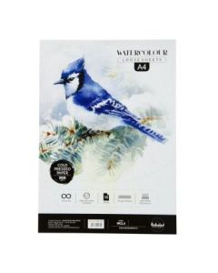 Scholar Artists' Watercolour - A4 (29.7 cm x 21 cm or 8.3 in x 11.7 in) Natural White Heavy Grain / Matt Surface / Cold Press 300 GSM 100% Wood Free Cellulose Cotton Paper, Poly Pack of 10 Sheets