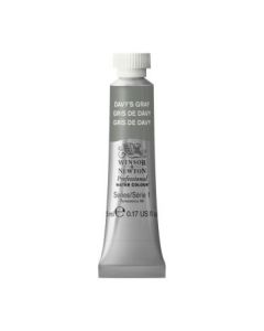 Winsor & Newton Professional Water Colour - Tube of 5 ML - Davy's Gray (217)