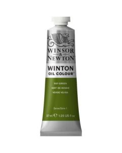 Winsor & Newton Winton Oil Colour - Tube of 37 ML - Sap Green (599)