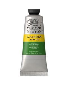 Winsor & Newton Galeria Acrylic Colour - Tube of 60 ML - Sap Green (599)