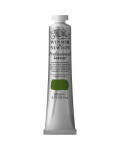 Winsor & Newton Professional Acrylic Colour - Tube of 200 ML - Permanent Sap Green (503)