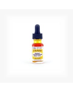 Dr. Ph. Martin's Radiant CONCENTRATED Water Color Paint - 15 ml Bottle - Daffodil Yellow (15B)