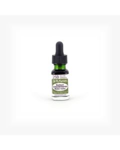 Dr. Ph. Martin's Radiant CONCENTRATED Water Color Paint - 15 ml Bottle - Olive Green (25B)