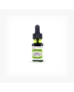 Dr. Ph. Martin's Radiant CONCENTRATED Water Color Paint - 15 ml Bottle - Chartreuse (34C)