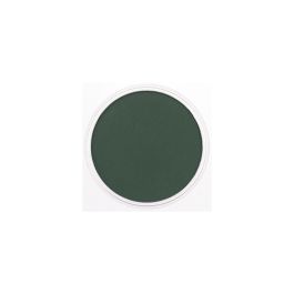 PanPastel Colors Ultra Soft Artist's Painting Pastel, Permanent Green Extra Dark (640.1)