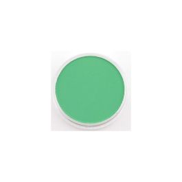 PanPastel Colors Ultra Soft Artist's Painting Pastel, Permanent Green (640.5)