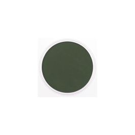 PanPastel Colors Ultra Soft Artist's Painting Pastel, Chromium Green Extra Dark (660.1)