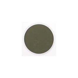 PanPastel Colors Ultra Soft Artist's Painting Pastel, Bright Yellow Green Extra Dark (680.1)