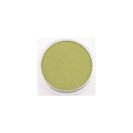 PanPastel Colors Ultra Soft Artist's Painting Pastel, Bright Yellow Green Shade (680.3)