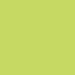 Karin Brushmarker PRO - Water-Based - Brush Tip - Lime Green (071)