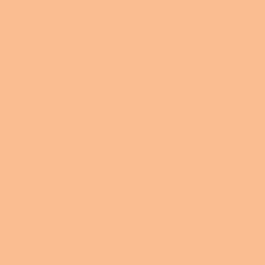 Karin Brushmarker PRO - Water-Based - Brush Tip - Pale Orange (357)