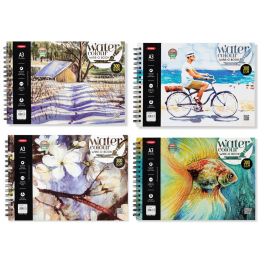 Anupam Professional Watercolour Paper A3 Natural White Cold Press 300 GSM Paper, Wire-O Book of 12 Sheets